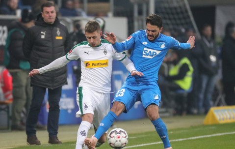 AG体育官方网站-霍芬海姆主场举办胜利派对，球迷欢呼的简单介绍