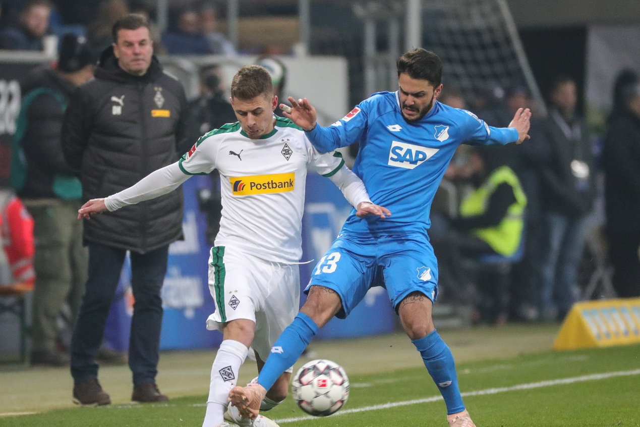 霍芬海姆主场举办胜利派对，球迷欢呼的简单介绍